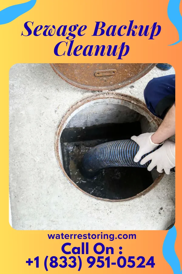 Sewage Backup Cleanup in Port Byron, IL